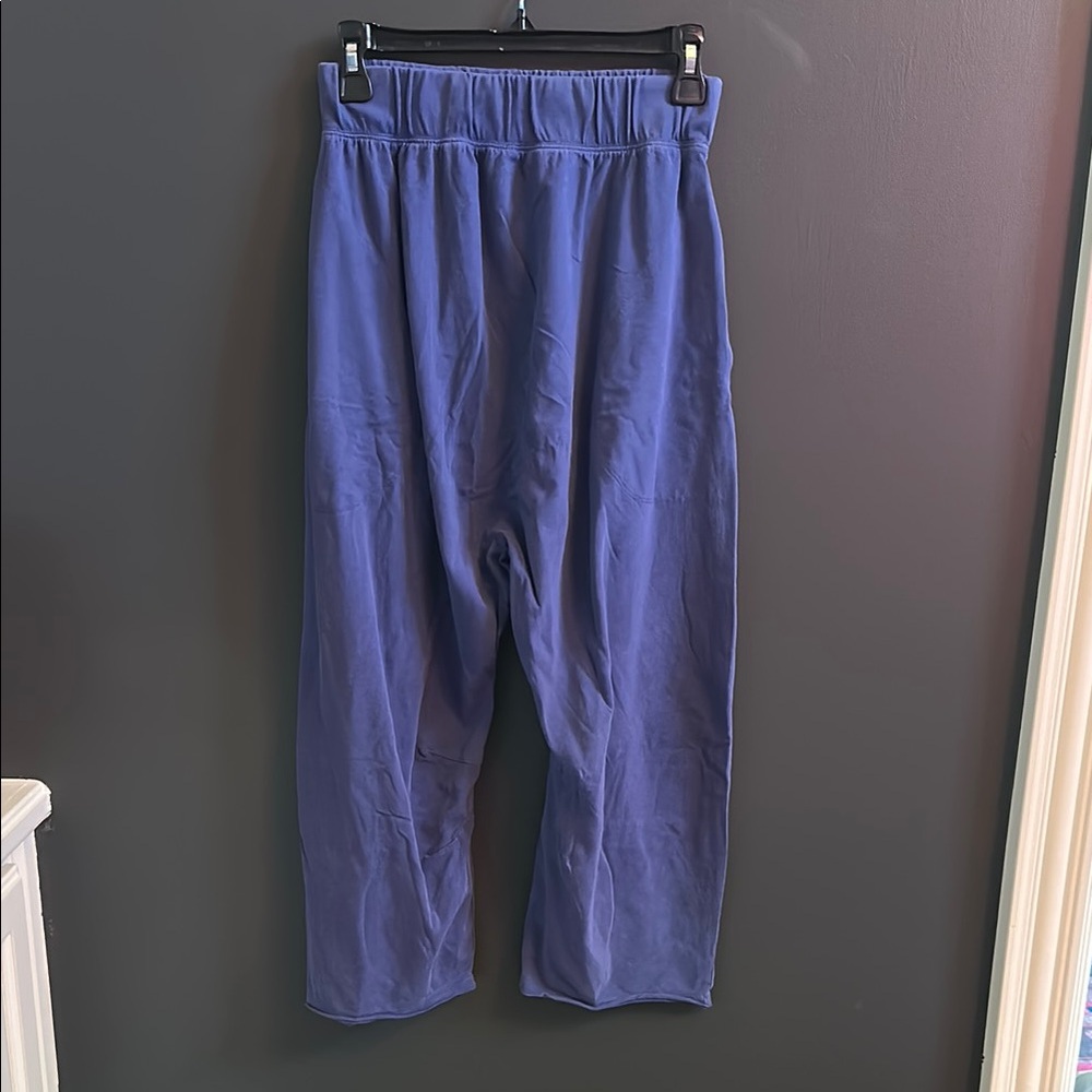 Free People Hot Shot Blue Ankle Cropped Pants